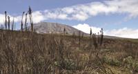 Climb Kilimanjaro Northern Circuit, Tanzania